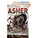 The Technician (Polity 4)