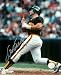 Steve Garvey Autographed/Hand Signed San Diego Padres 8x10 Photo