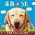 TX系列 だいすけ君が行く!!ポチたま新ペットの旅 エンディング・テーマ 「笑顔のうた」(DVD付)