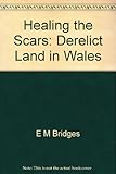 Healing the scars : derelict land in Wales
