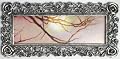 8½×3 Panoramic Frame w/Roses Border