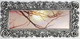8 frac12; times;3 Panoramic Frame w Roses Border
