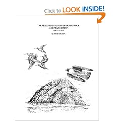 The Peregrine Falcons Of Morro Rock: A 40-Year History - 1967-2007