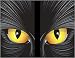 Illuminating Cat Eye Window Posters 2ct