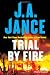 Trial by Fire: A Novel of Suspense