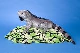 Plush Lizzy Marine Iguana 16"