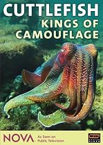NOVA: Cuttlefish - Kings of Camouflage