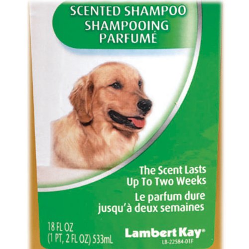 Lambert Kay Fresh’n Clean Scented Dog Shampoo, 18Ounce « Toys for Poodles