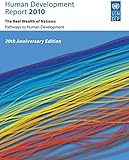 Human development report 2010 : the real wealth of nations : pathways to human development