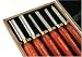 PSI Woodworking LCAN6S 6 Piece HSS Standard Chisel Anniversary Lathe Chisel Set