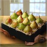 Free Shipping! Pearadise