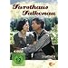 Forsthaus Falkenau - Staffel 4 (Jumbo Amaray - 4 DVDs)