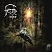 Fejd-Eifur