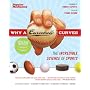 Why a Curveball Curves: The Incredible Science of Sports (Popular Mechanics)