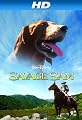 play video on Amazon Instant Video