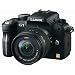 Panasonic Lumix DMC-G1 12.1MP Micro Four Thirds Interchangeable Lens Digital Camera with Lumix G Vario 14-45 mm f/3.5-5.6 ASPH Mega OIS Lens (Black)
