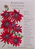 Cherry Brandy Rudbeckia Seeds 75 Seeds