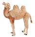 Fiesta Wild Animals 40