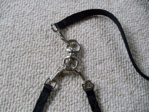 Leash Lady~2 Dog Coupler Leash with Swivel Snaps on Both Ends for Mini to Small Size Dogs, 10-20 Pounds