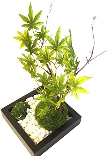 MOYOGI Mini artificial Bonsai Green maple tree zen garden style, with kokedama moss ball on the black tray for indoor,11.8inch
