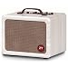 ZT Lunchbox Acoustic 200-watt 1x6.5 Acoustic guitar Amplifier