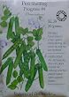 English Pea Progress Certified Organic Heirloom Seeds 100 Seeds