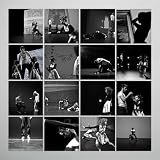 Music for Falling From Trees (Spkg)