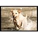 Upstream Images Yellow Lab Bird Dog Static Wall Graphic