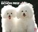 Bichon Frise, For The Love Of 2012 Deluxe Wall Calendar