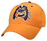 Tennessee Volunteers ''HOUND'' Orange DHS Hat