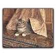 Kitten Under Drape - Gift Enclosure Cards (set of 12)