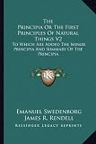 The Principia Or The First Principles Of Natural Things V2: To Which Are Added The Minor Principia And Summary Of The Principia