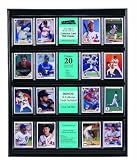 MCS Collector Card 16x20 Wall Display, Holds 20 Sports Cards with Black Frame