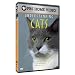 Understanding Cats