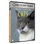 Understanding Cats