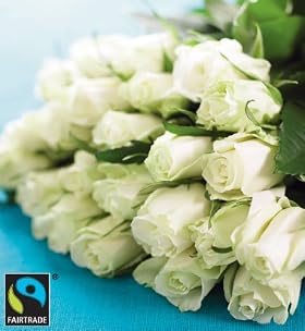 22 White Fairtrade Roses