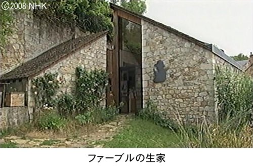 Cover image : ファーブル昆虫記 南仏・愛しき小宇宙 DVD-BOX