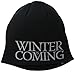 Game Of Thrones Men's Reversible Stark Beanie