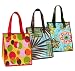 Insulated All Purpose Lunch Bags, Set of 3