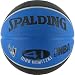 Suchen : spalding dirk nowitzki players ball
