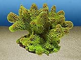 Nature's Image Artificial Corals: Pocillopora Green