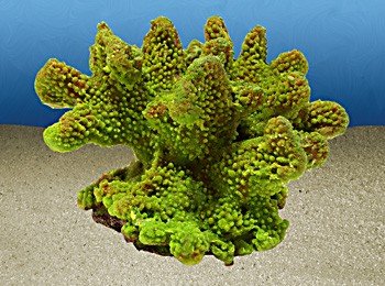 Nature's Image Artificial Corals: Pocillopora Green