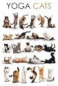 Poster Yoga cats - Größe 61 x 91,5 cm - Maxiposter