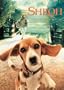 Shiloh (DVD and Book)