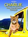 play video on Amazon Instant Video