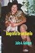 Biografia De Un Sue&ntilde;o (Spanish Edition)
