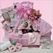 Grand Welcome ~ Girl: Pink Baby Gift Basket