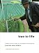 Books : True to Life: Twenty-Five Years of Conversations with David Hockney