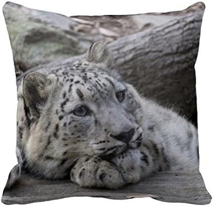 Bored Snow Leopard Cub Pillow Case