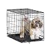 Midwest 1524 iCrate Single-Door Pet Crate 24-By-18 -By-19-Inch